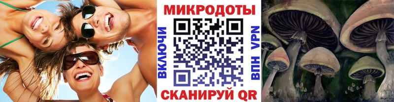 Псилоцибиновые грибы Cubensis  Купить закладки  Среднеколымск 